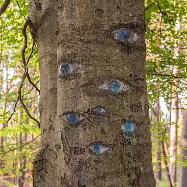 Olhos esculpidos em tronco de árvore . — Fotografia de Stock