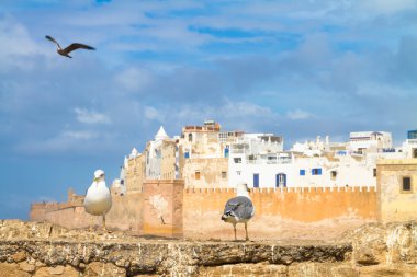 Essaouira - magador, marrakech, Fas.
