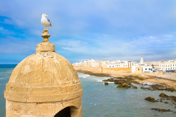 Essaouira - magador, marrakesch, marokko. — Stockfoto