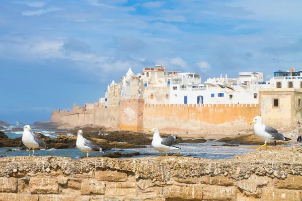 Essaouira - Magador, Marraquexe, Marrocos . — Fotografia de Stock