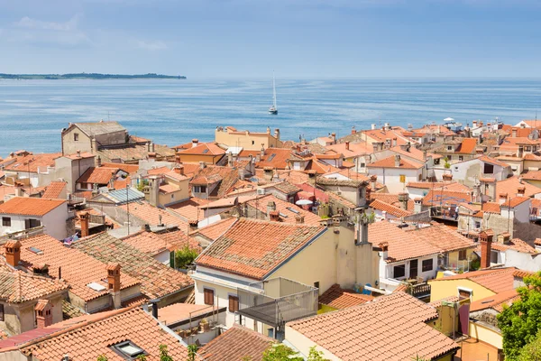 Pintoresco casco antiguo Piran, Eslovenia . —  Fotos de Stock