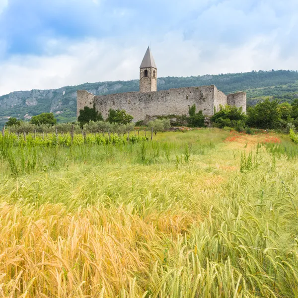 Iglesia de la Santísima Trinidad, Hrastovlje, Eslovenia . —  Fotos de Stock