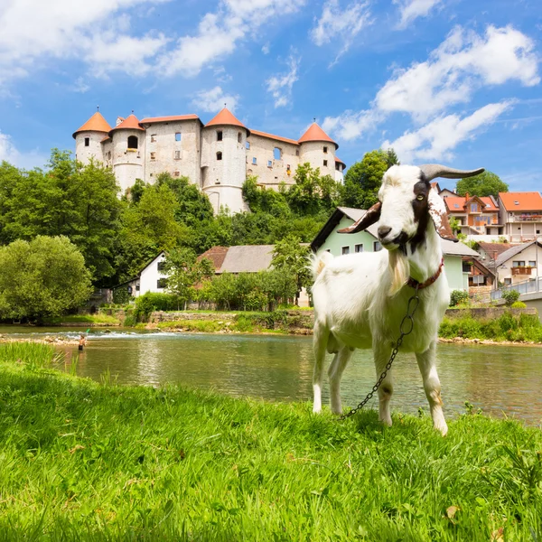Zuzemberk hrad, slovinský turistický cíl. — Stock fotografie