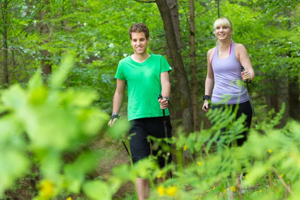 Lifestyle in nature. — Stock Photo, Image