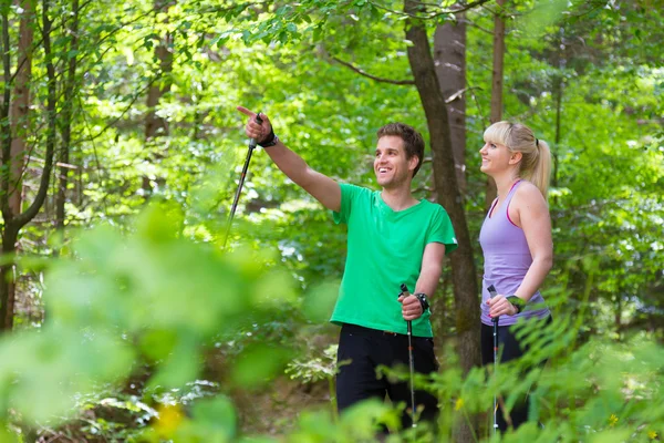 Lebensstil in der Natur. — Stockfoto