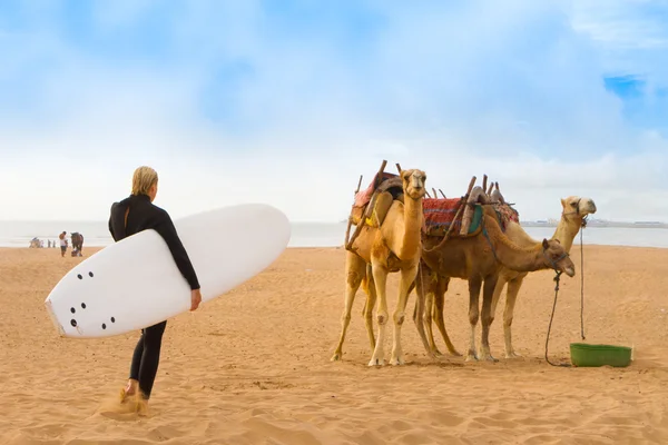 Plaża, essaouira, Maroko, Afryka. — Zdjęcie stockowe