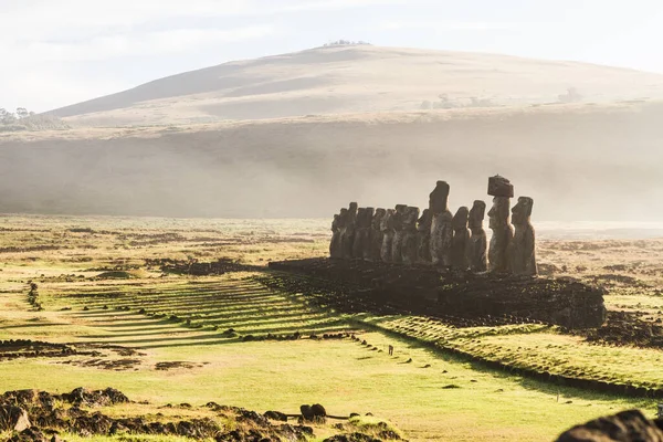 칠레, 이스터섬, 아쿠 통 가리 키에 있는 모아이 석조 조각품 위로 떠오르는 태양. — 스톡 사진