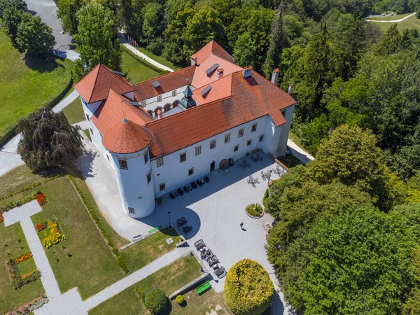 Beautiful Aerial Drone View Bogensperk Castle Litija Slovenia — Zdjęcie stockowe