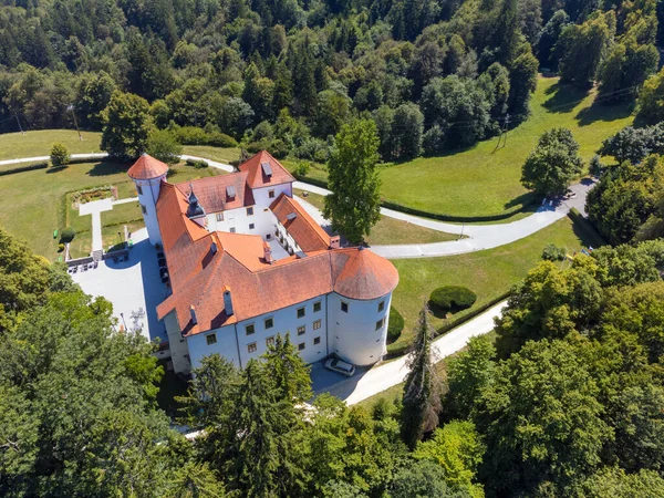 Beautiful Aerial Drone View Bogensperk Castle Litija Slovenia — Fotografia de Stock