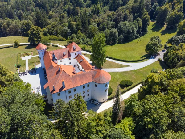 Beautiful Aerial Drone View Bogensperk Castle Litija Slovenia 로열티 프리 스톡 사진