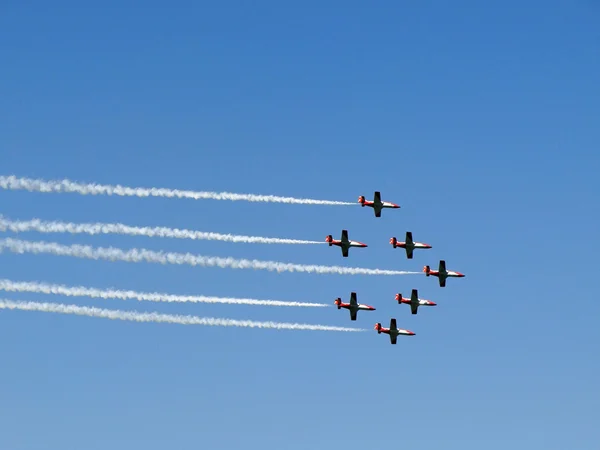 Polska aerobatic lag Stockbild