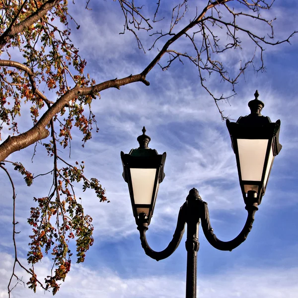 Presentiment of autumn. — Stock Photo, Image