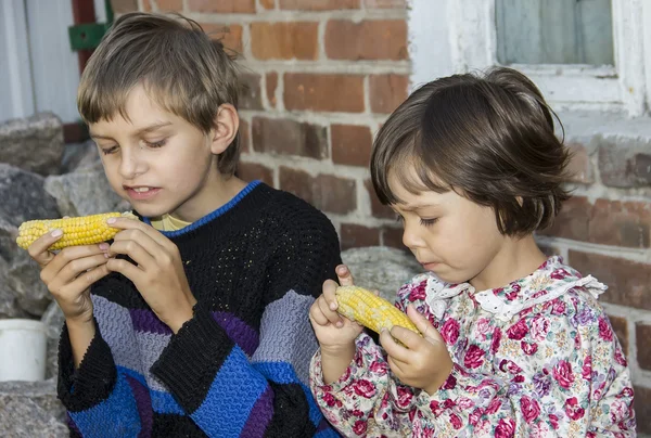 Children on the farmer. — Stock Photo, Image