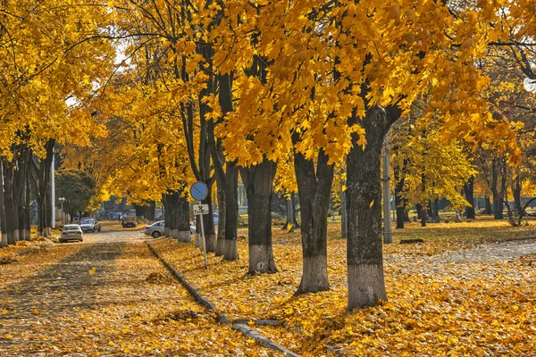 Opatrně! list spadají. — Stock fotografie