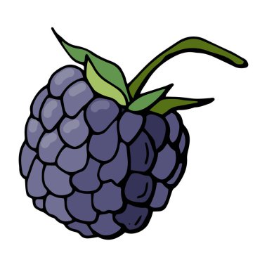 Beyaz arka planda izole edilmiş el çizimi Blackberry.