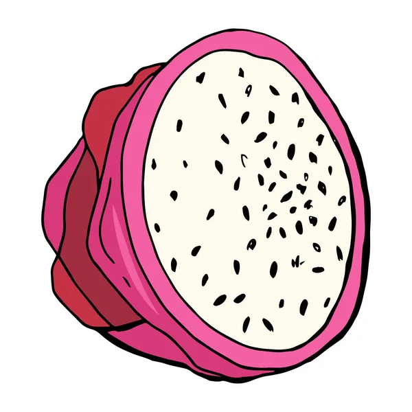 Red Dragon Fruit Pitahaya White Background Isolate Vector Illustration Hand — Archivo Imágenes Vectoriales