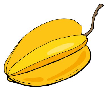 Carambola fruit. White background, isolate. Vector illustration. Organic food, healthy nutrition, vegetarian product.