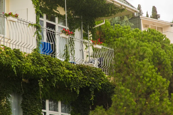 Зарослих балкон — стокове фото
