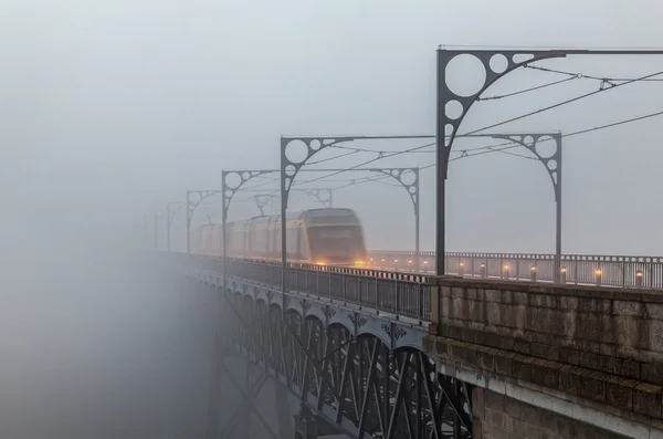 Morning foggy — Stock Photo, Image