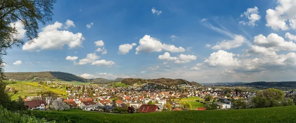 erlinsbach Panoraması