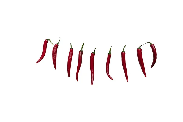 Red Fresh Chili Pepper Isolated White Background Seasoning Dish Hot — Stock Photo, Image