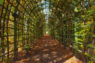 Bersot şehrin arka sokaklarında sonbahar yapraklı bitkilerle dolu bir yaz bahçesi kurdu.