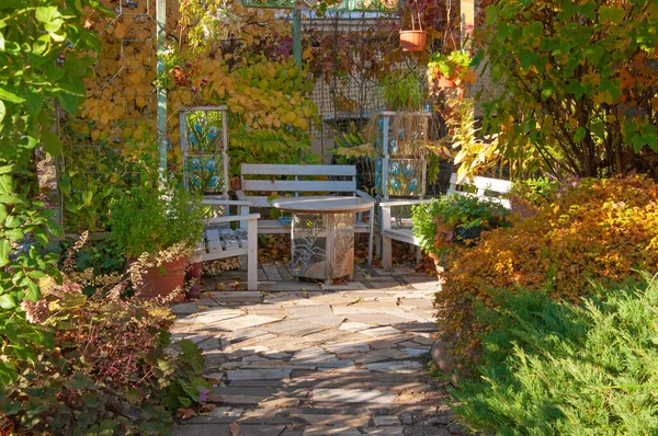 白いベンチとカラフルな黄色オレンジ色の紅葉を持つ装飾植物と庭のテーブルを持つ美しい展望台 — ストック写真