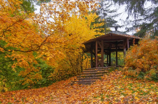 Stary Drewniany Altanka Drzewo Kolorowy Żółto Pomarańczowy Jesienny Liść Miejski — Zdjęcie stockowe