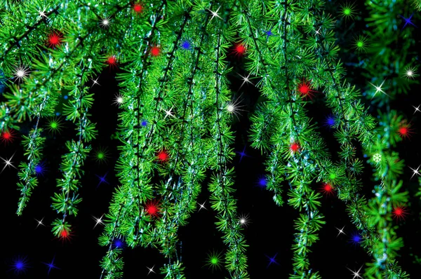 Colorido Brilhante Belas Estrelas Natal Luzes Fundo Ramos Abeto Verde — Fotografia de Stock