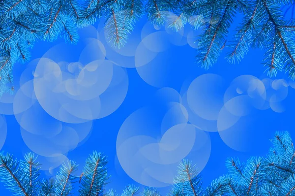 Vánoční Rám Modrých Jedlových Větví Modrém Abstraktním Pozadí Bokeh — Stock fotografie