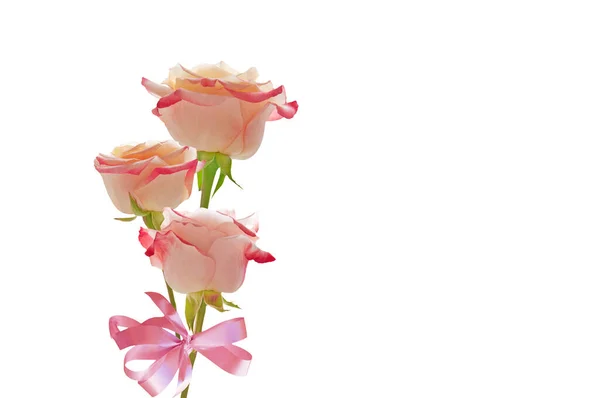 Букет Трех Ярких Красивых Розовых Роз Розовым Бантом Белом Изолированном — стоковое фото