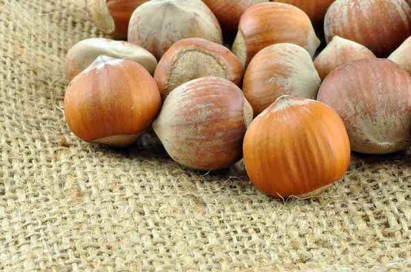 Hazel nuts — Stock Photo, Image