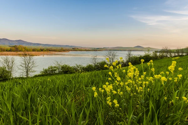 Toscana — Foto Stock