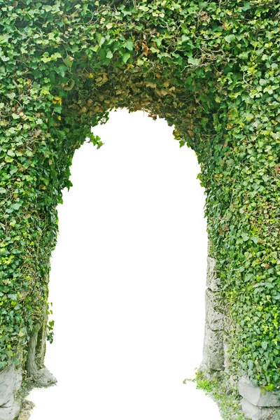 Entrance made of green grass isolated. — Stock Photo, Image