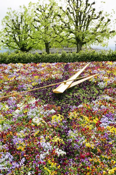 Large flower clock in Switzerland — Stock Photo, Image