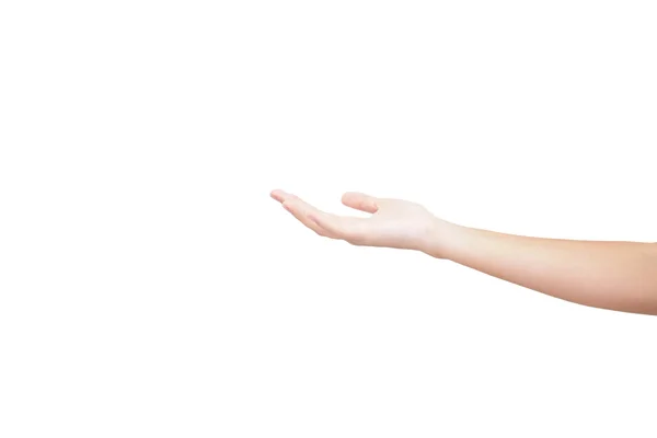 Женская рука держит изолированные на белом — стоковое фото