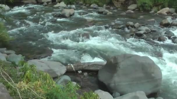 Volledige hd voortbewegende stream.flowing water — Stockvideo