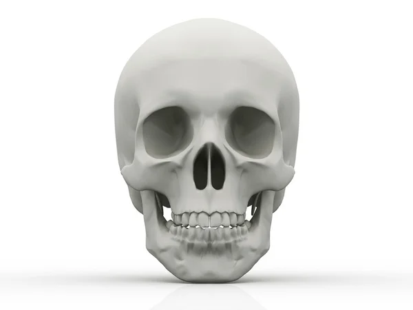 3d human skull isolated on white background — Stock Photo, Image