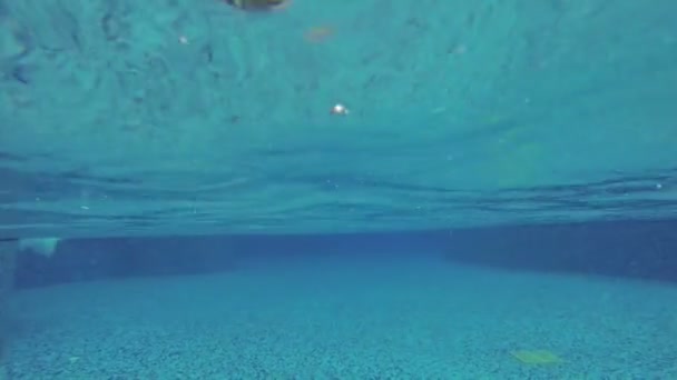 Inside of the swimming pool — Stock Video