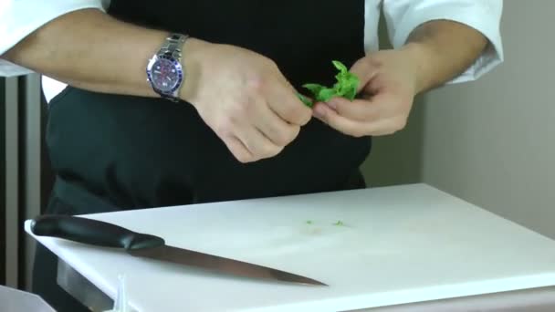 Chef-kok hakken basilicum — Stockvideo