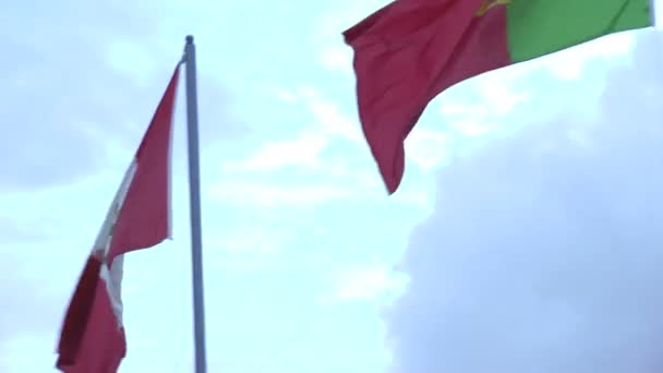 Närbild på flaggor mot himlen — Stockvideo