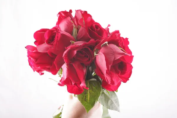 Ruka drží kytici zvadlá růže — Stock fotografie