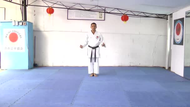 Man performing martial arts — Stock Video