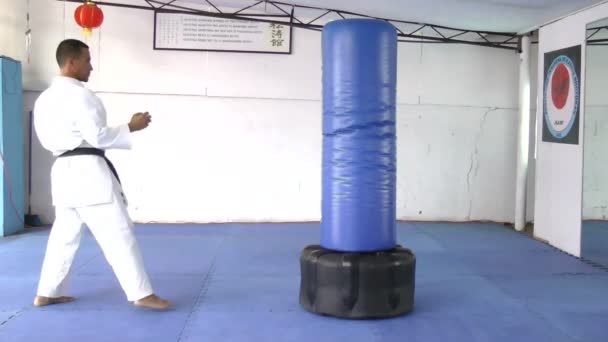 Zwarte gordel karate beoefenen schoppen de zandzak — Stockvideo