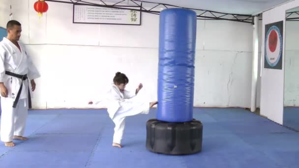 Niña practicando patadas con el saco de arena — Vídeos de Stock