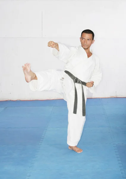 El hombre en un kimono golpea con el pie y la mano. Concepto de Karate — Foto de Stock