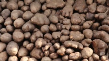 Çin yam