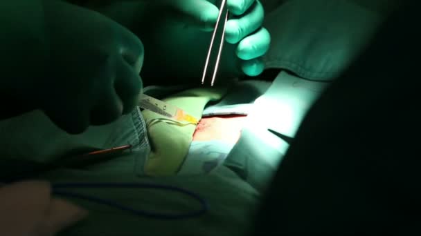 chirurg injekční anestezie do otevřené rány