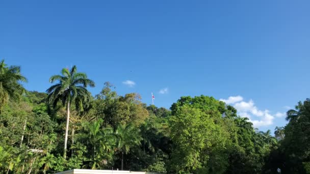 Zelené Lesy Panama Vlajka Vrcholu Horkém Létě Panamě — Stock video