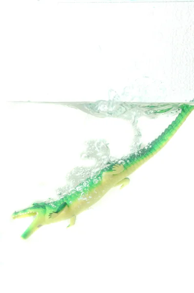 Alligator toy splash into water — Stock Photo, Image